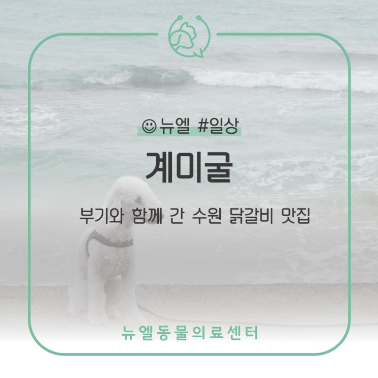  [수원 행궁동] 반려견 내부 동반 한식 맛집 계미굴 - 수원 행궁동 핫한 닭갈비집!