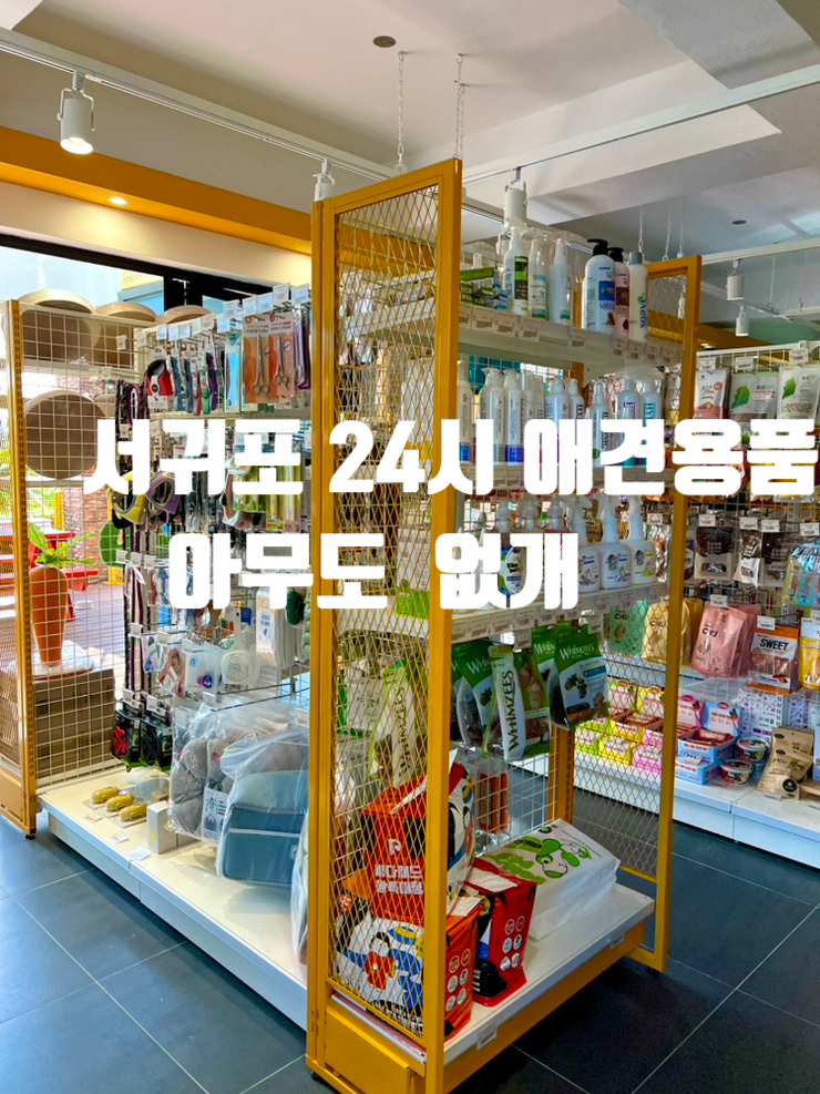  서귀포 애견용품샵,서귀포 애견용품전문점,서귀포 강아지간식,서귀포 고양이간식