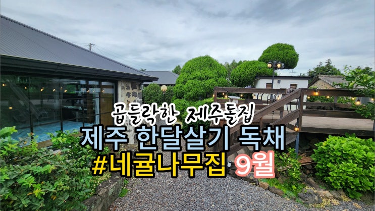 부모님과 아이와 함께 지내기 좋은 제주 한달살기 가족 숙소 추천 - 귤나무, 잔디마당이 있는 독채 9월