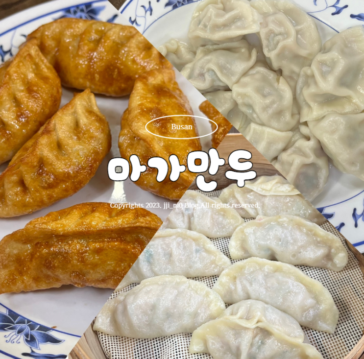  차이나타운 맛집 마가만두의 군만두, 물만두, 찐만두 비교