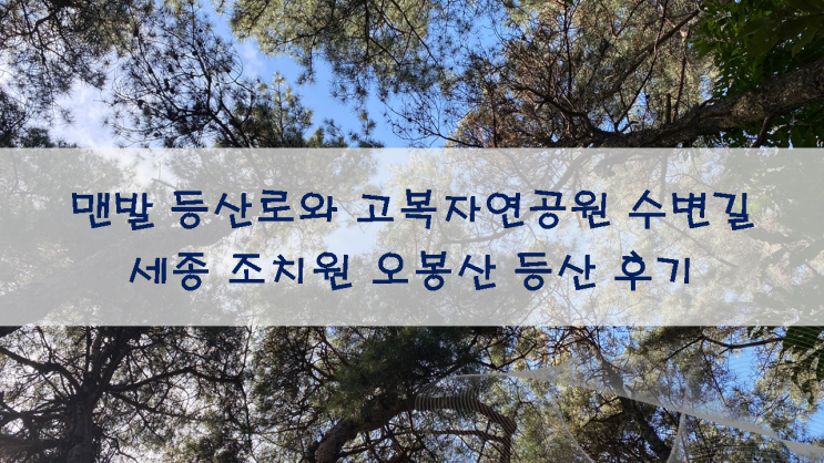  세종 조치원 오봉산 등산 후기