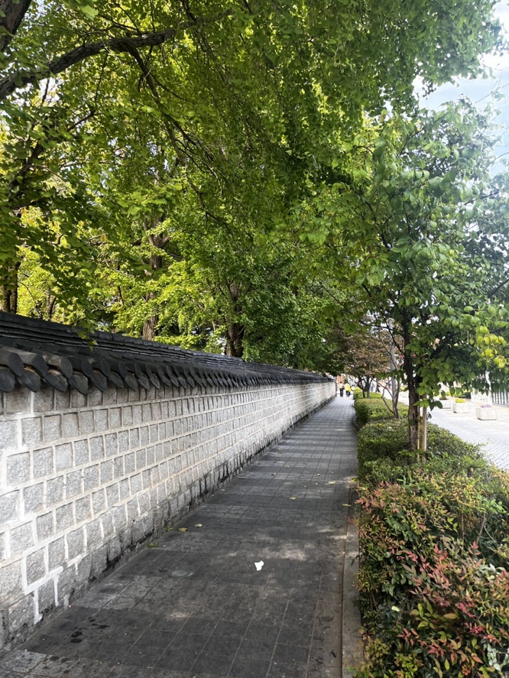  전주여행 당일치기 전주 가볼만한 곳 전주한옥마을 경기전 향교 남부야시장 먹거리 주차정보