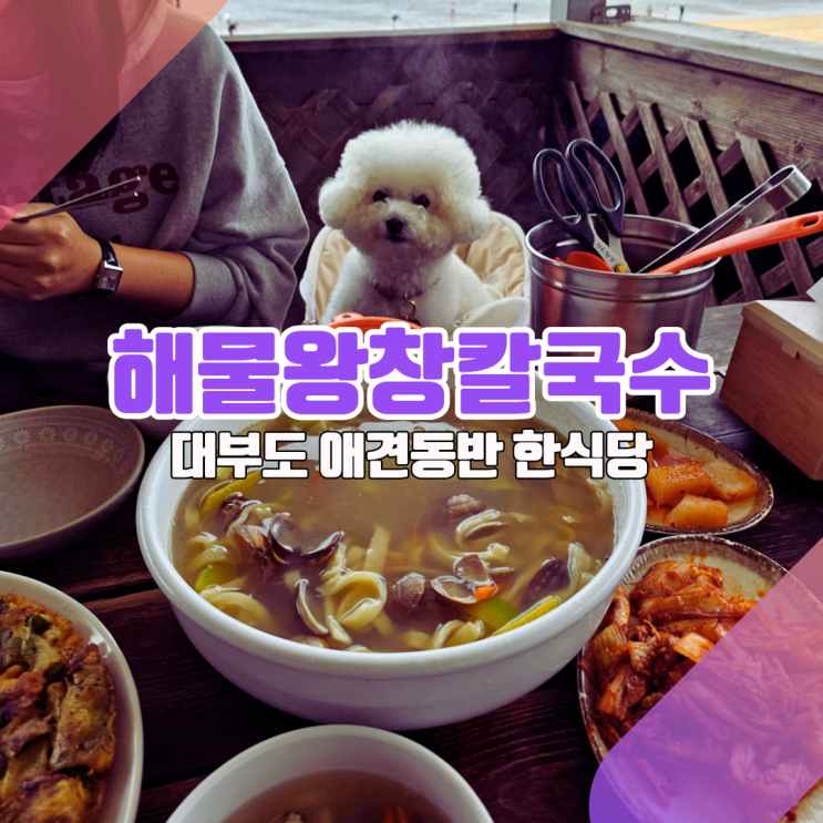  [대부도 애견동반 식당] 얘덜아, 댕댕이랑 칼국수 먹어봤어?