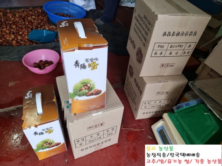  [판매완료]2023 청양 칠갑산 유기농 알밤 산지직송 직거래 판매