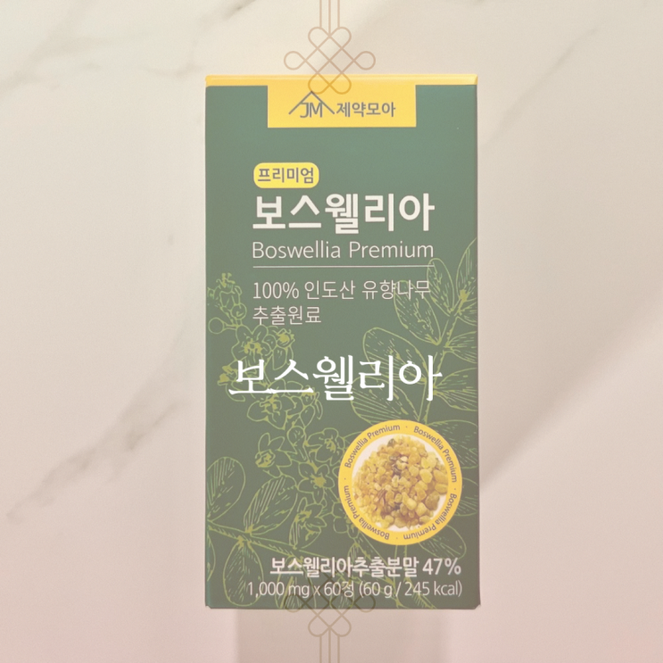  보스웰리아 프리미엄 제약 모아 내돈내산