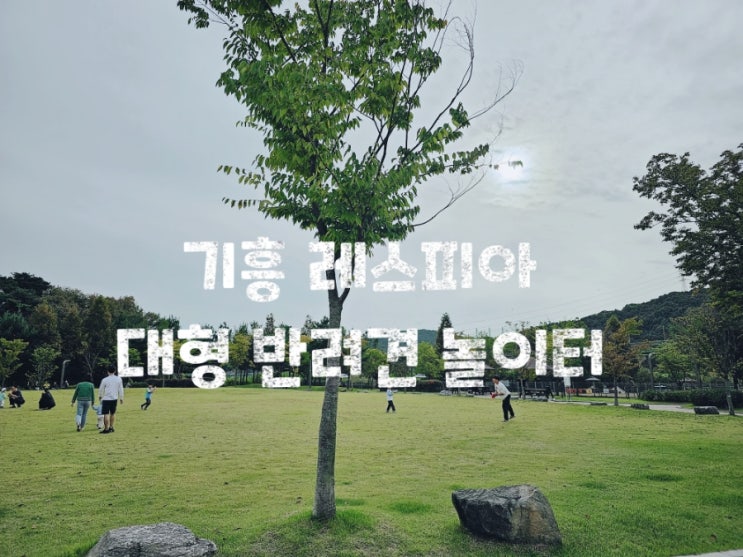  수원 근교 무료 애견운동장, 기흥레스피아 반려견놀이터