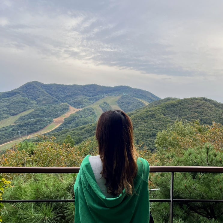  [경기 광주] 가을 산책, 화담숲; 단풍축제 10월~11월