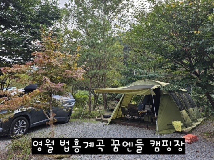 법흥계곡 꿈엔들 캠핑장, 나무 그늘 많은 곳/ 가을캠핑장 추천
