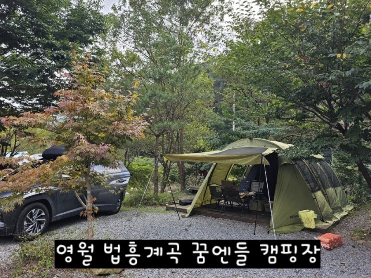  법흥계곡 꿈엔들 캠핑장, 나무 그늘 많은 곳/ 가을캠핑장 추천