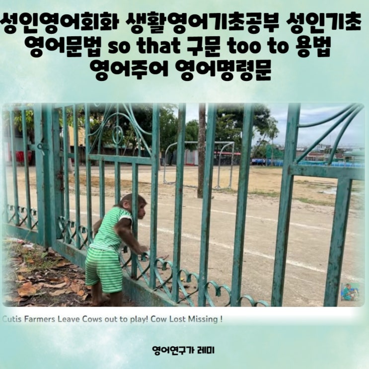 성인영어회화 생활영어기초공부 성인기초영어문법 so that 구문 too to 용법 영어주어 영어명령문 성인영어회화 생활영어기초공부 성인기초영어문법 so that 구문 too to 용법 영어주어 영어명령문