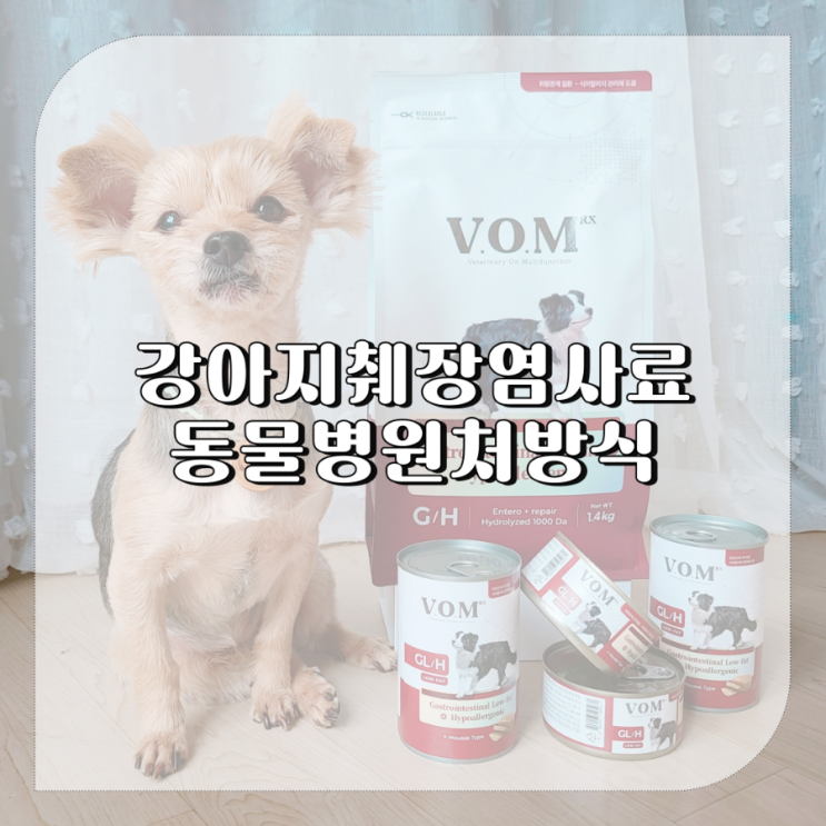  강아지 췌장염 사료 기호성 좋은 저지방 습식사료 브이오엠