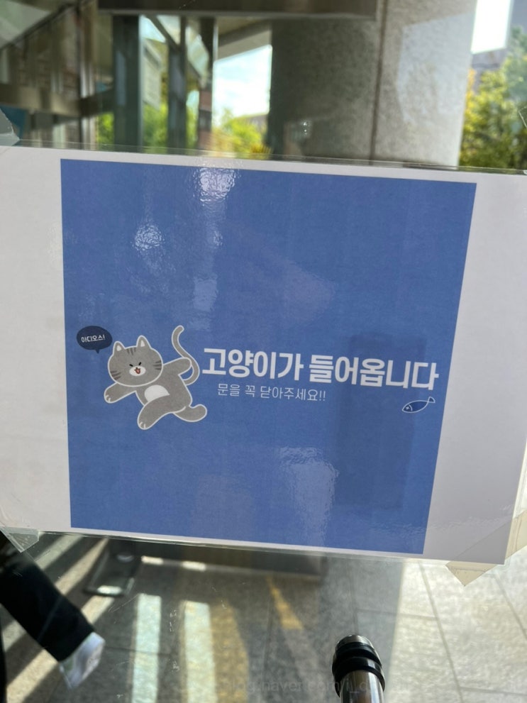  일상 속 귀여운 동물 모음