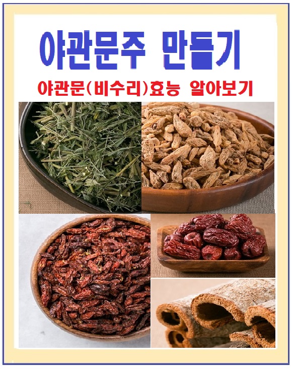  비수리로 야관문주 만들어 먹고 갱년기증상완화 및 혈행개선 시키고/야관문주 효능에 대해 알아보아요