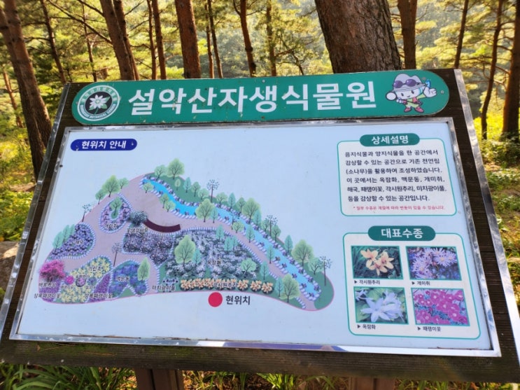  아이랑 강원도 속초 가볼만한곳   설악자생식물원