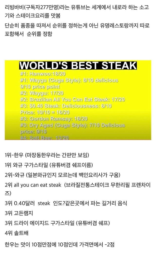  전세계 소고기를 다먹어본 유튜버의 순위