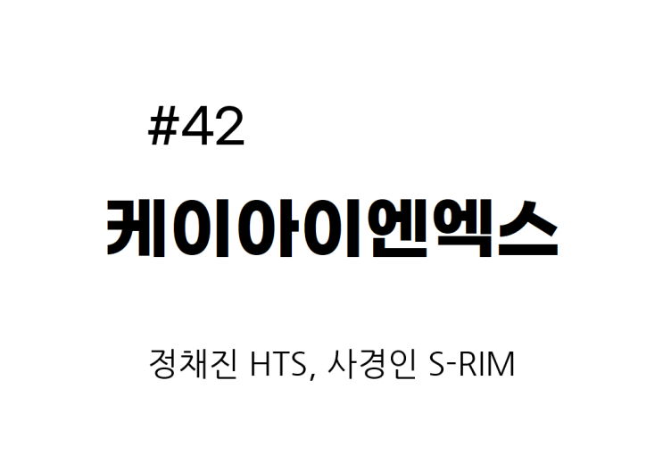  [종목공부] 케이아이엔엑스 주가, IT SW, 인터넷 서비스(관심종목) [재무데이터, S-RIM]