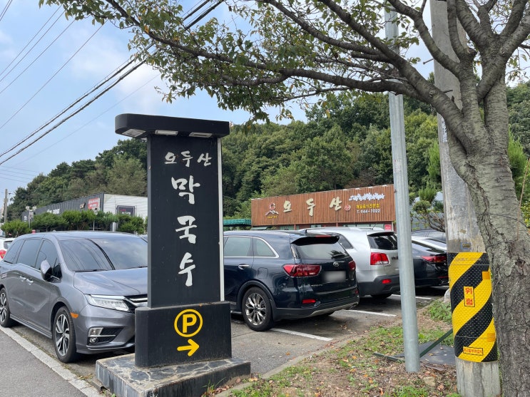  경기도 파주 / 오두산 막국수 메밀국수 맛집 녹두전 메밀 손만두 후기