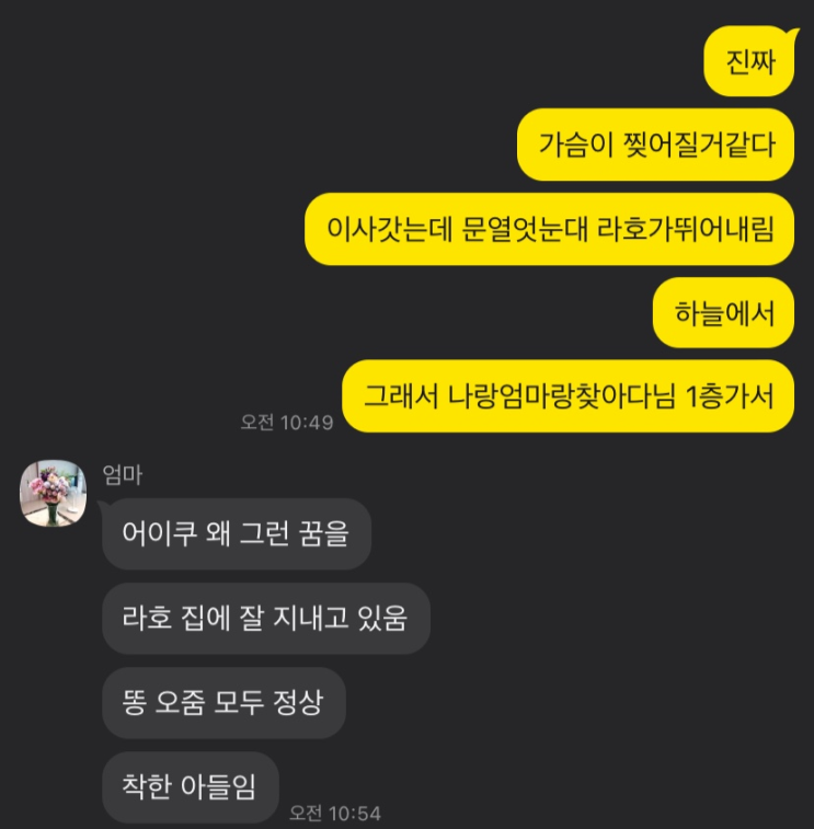  너무슬퍼서 눈물이 나오지않던꿈