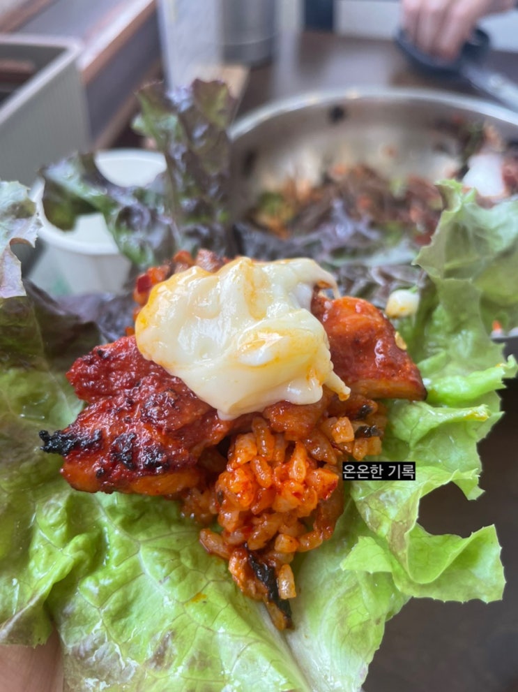  [가평/남이섬 맛집] 남이섬 안반지 닭갈비 (+내돈내산)