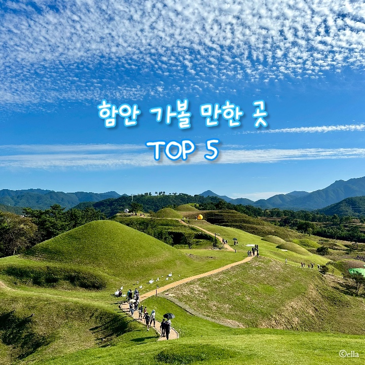  선선한 가을, 경남 함안 가볼 만한 곳 TOP 5 | 악양둑방길, 악양생태공원, 고려동유적지, 함안양떼목장, 말이산고분군