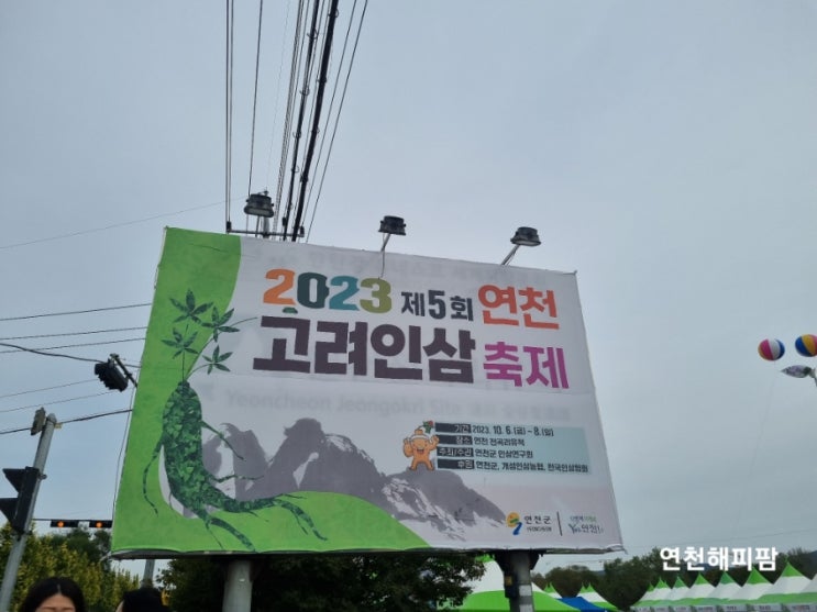  2023 제5회 연천 고려인삼축제 연천 전곡리유적 6년근인삼