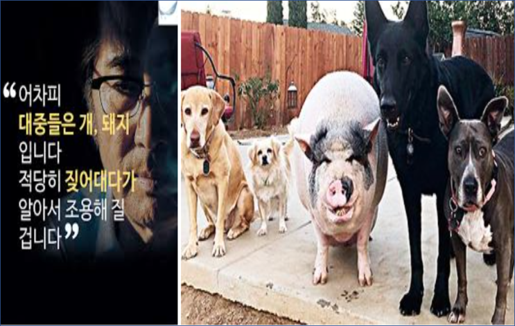 강서구청장 <b>최고</b>의 <b>사전투표율</b>이, "보수 결집" 결과 라는 국민의힘