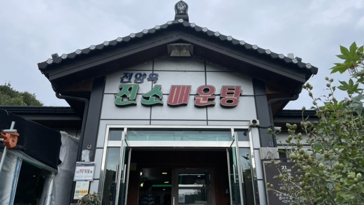  [횡성]진소매운탕/진소 어탕 칼국수/안흥 모락모락 마을 맛집