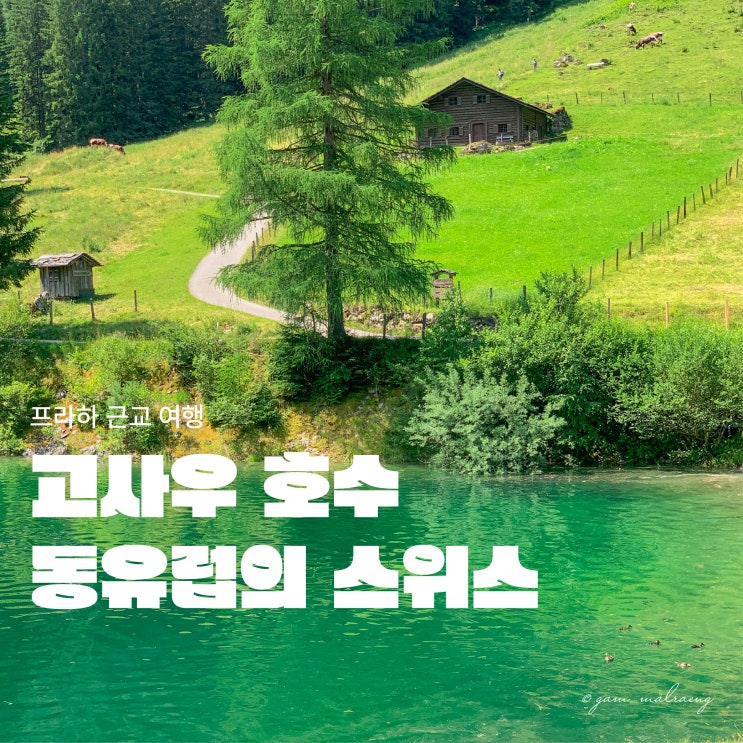  [프라하 근교 여행] 동유럽의 스위스, 고사우 호수