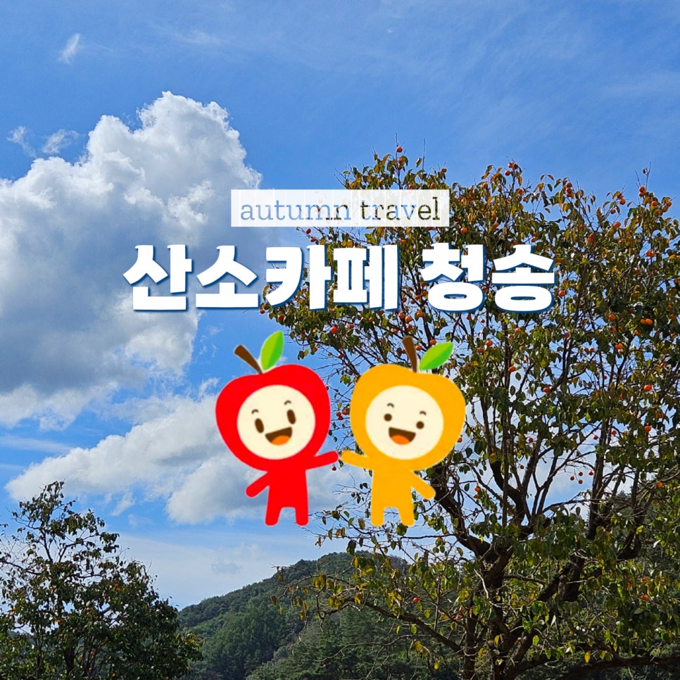 안평재 사진 1
