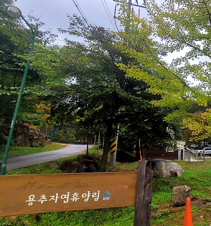 용추자연휴양림 야영장