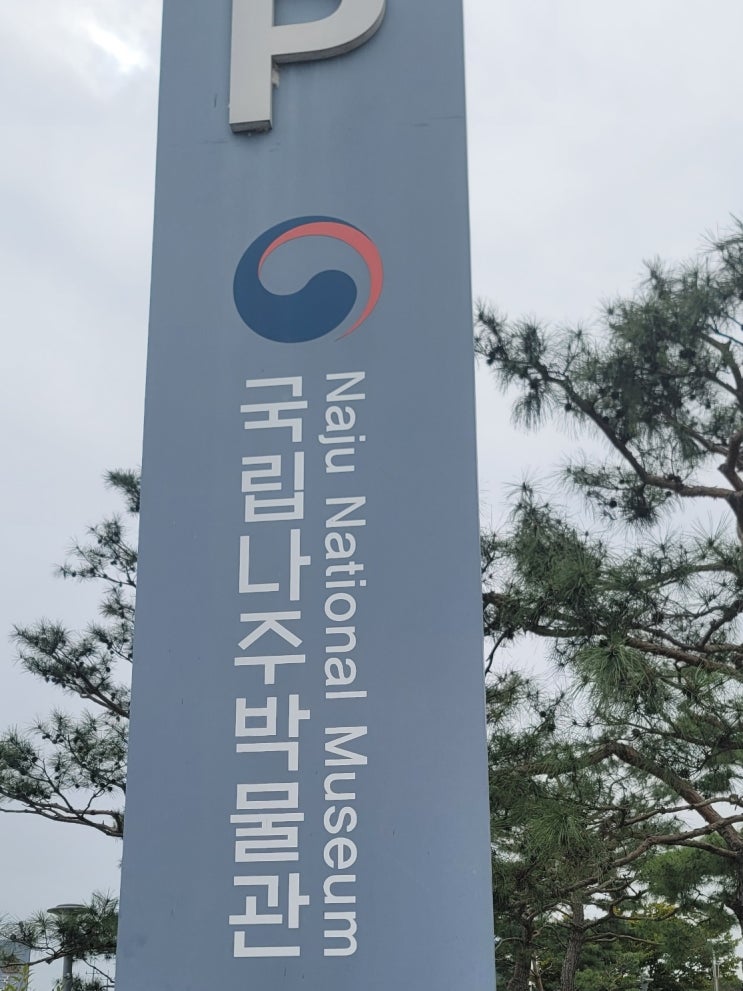  나주 국립박물관 아이랑 가볼만한곳 핑크뮬리명소