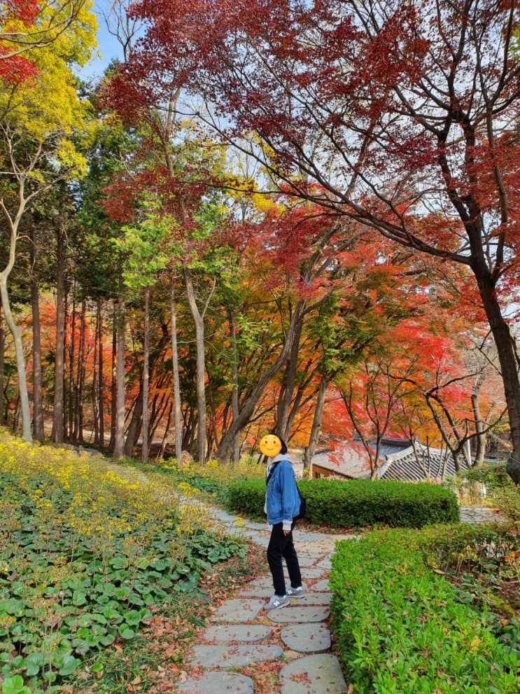  경남 사천 다솔사 오오티디