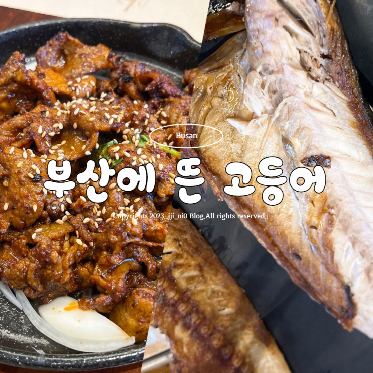  사상 생선구이맛집 부산에 뜬 고등어