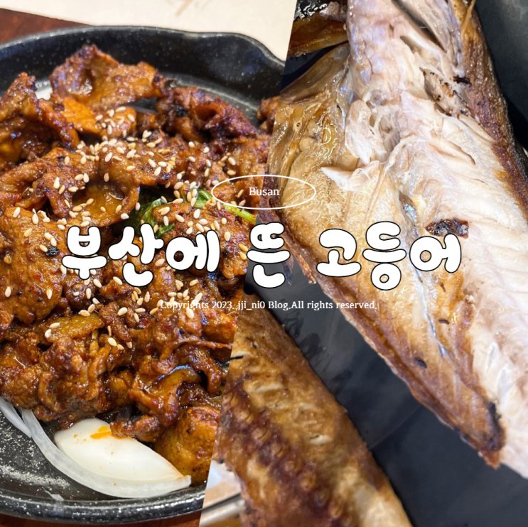 사상 생선구이맛집 부산에 뜬 고등어