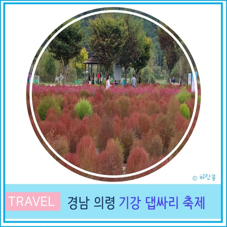  의령 댑싸리 축제 호국의병의 숲 친수공원 경남 가을 꽃 축제 대구 부산 근교 당일치기 여행 드라이브 10월 가볼만한 곳