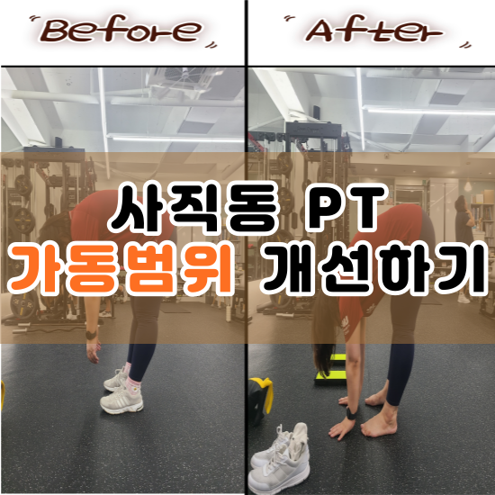  사직동 PT 트레이너 일상 : 가동범위 개선, 서핑도 갔다왔어요!
