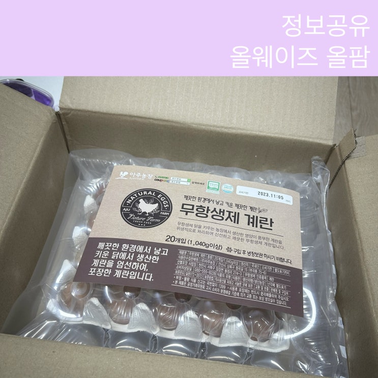  [정보공유] 폰으로 재배하고 집에서 계란받는 어플 올팜 추천 친구추가