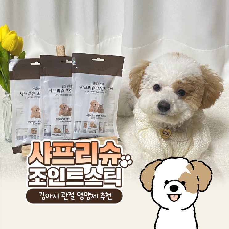  반려견 관절 연골 영양제 샤프리슈 조인트 스틱 먹고 슬개골 탈구 미리 예방하기