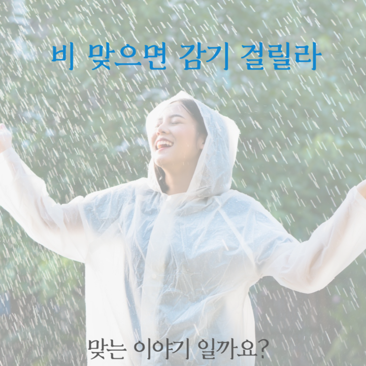  비 맞으면 감기 걸릴라 맞는 이야기일까요?