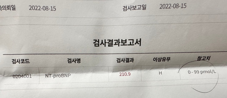 초보집사, 아기천사 루를 떠나보낼 뻔 했던 그 날들의 기록(3) [고양이 HCM, TMT]