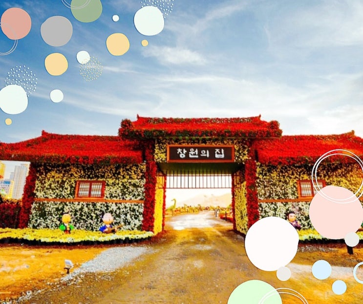  창원 국화축제에서 가을데이트 가볼만한곳