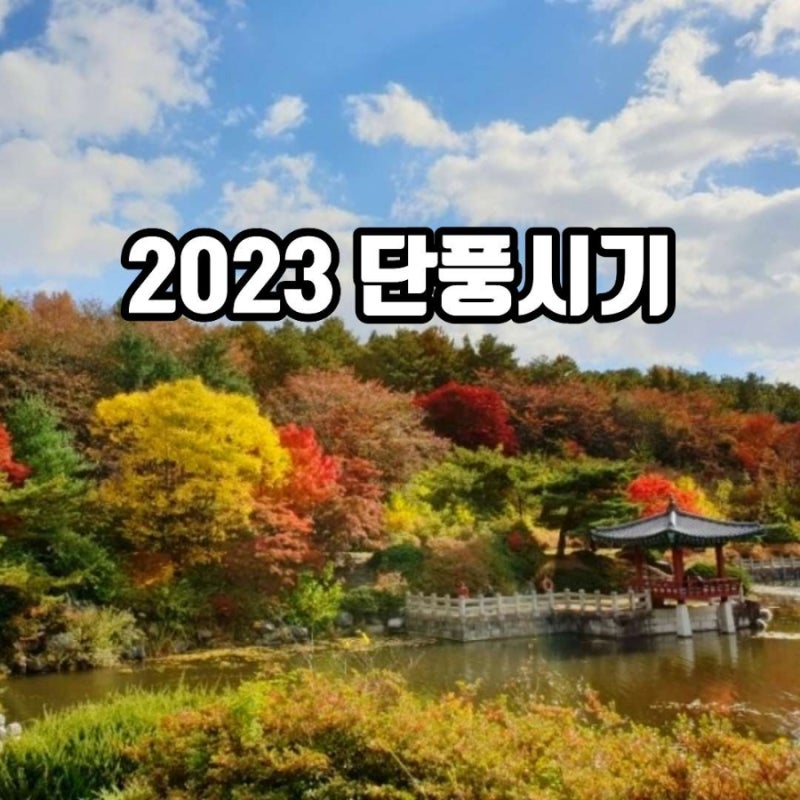 2023 단풍시기 속리산 덕유산 내장산 단풍확인방법