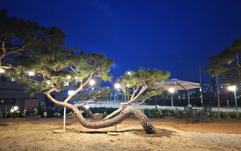 사진 4