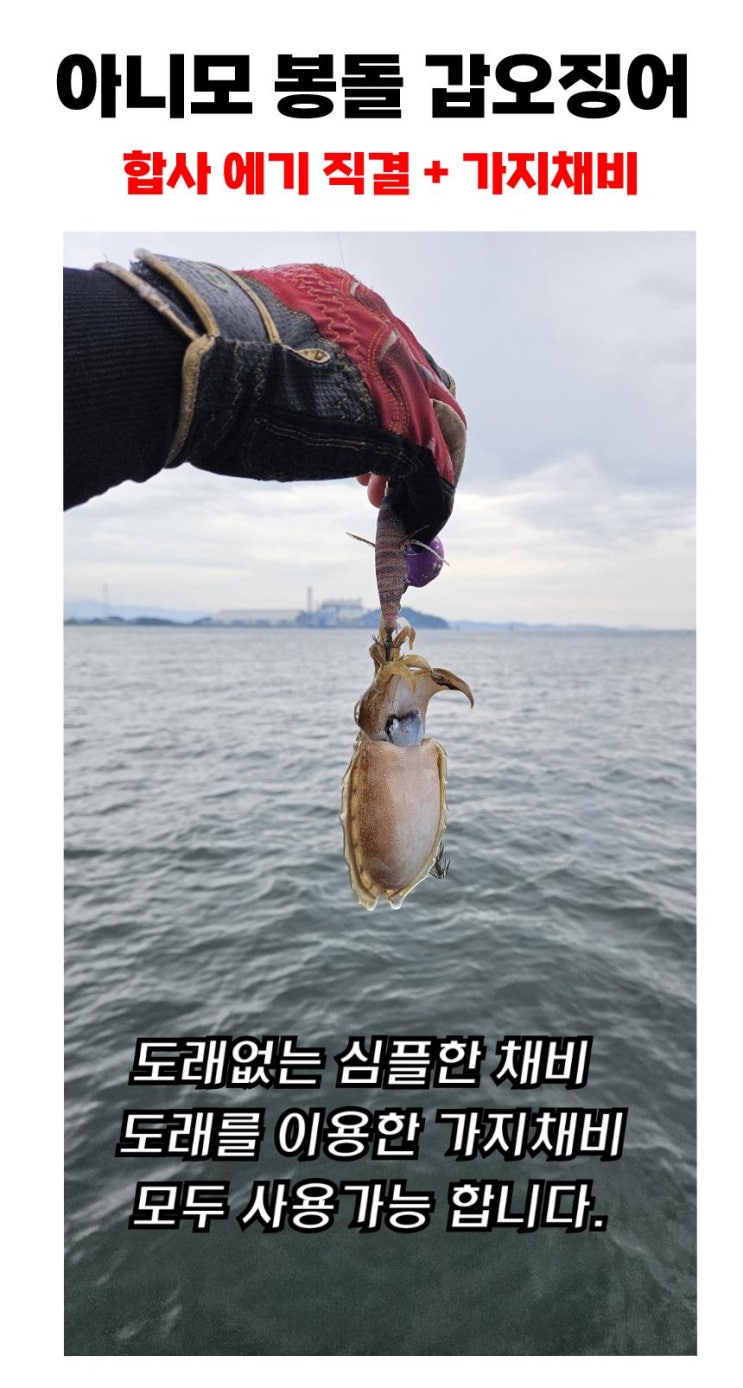 갑오징어 제일 좋아하는 130도