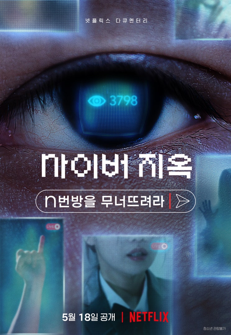  사이버 지옥: n번 방을 무너뜨려라(2022) - 결코 용서 받아서도 안되고, 용서할 수도 없는 자들이 벌인 믿을 수 없는 범죄 행각