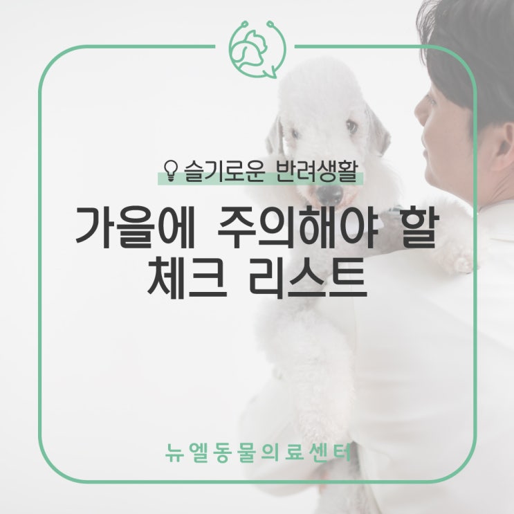  [화성/동탄역 동물병원] 선선한 가을 반려동물이 조심해야 할 주의사항 안내 (진드기, 은행, 감기, 피부병)