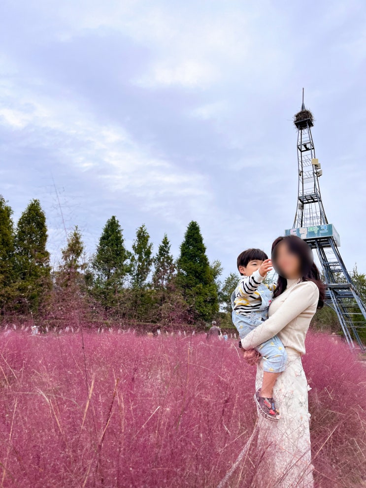 인천 사계절 아름다운 공원 드림파크 야생화단지