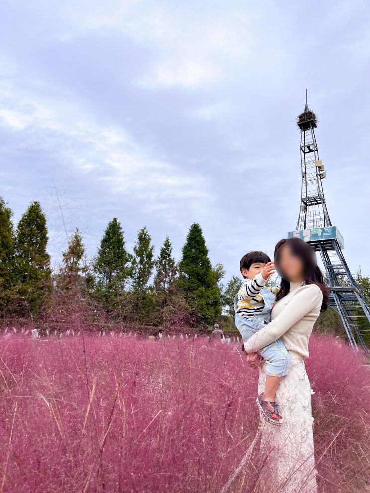인천 사계절 아름다운 공원 드림파크 야생화단지 인천 사계절 아름다운 공원 드림파크 야생화단지