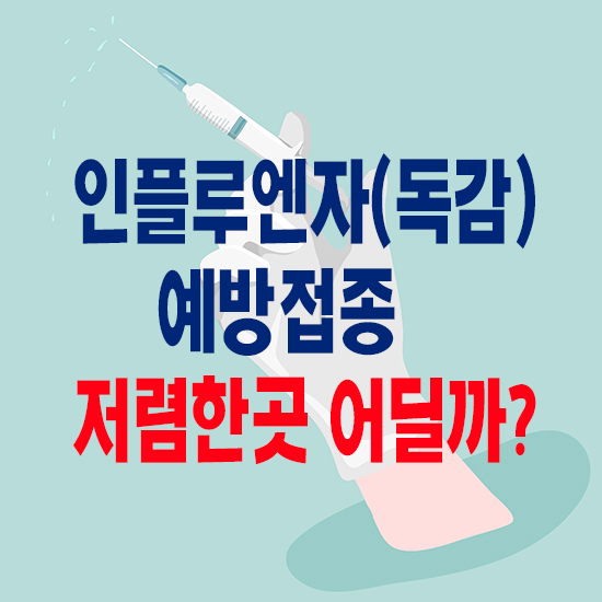  2023년 독감예방접종 시기 독감주사가격 저렴한 곳 찾는법