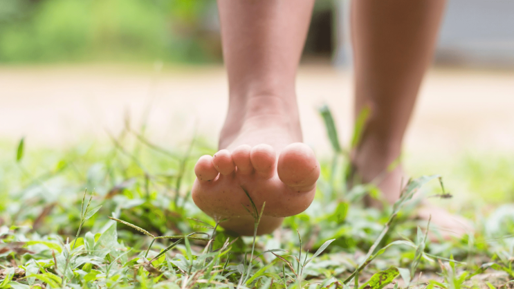 맨발걷기효능 및 효과 부작용